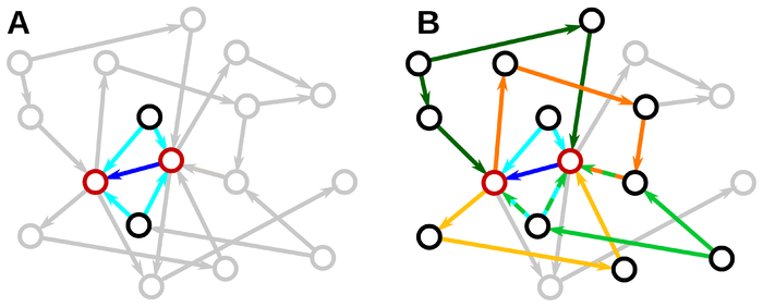 Connectivity induces correlations