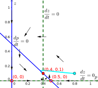 Phase plane of a model of nitrogen transfer in plankton