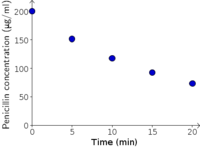 Penicillin concentration versus time